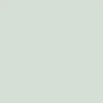 Fasádní barva SilikonColor Baumit 14 l - odstín 1017