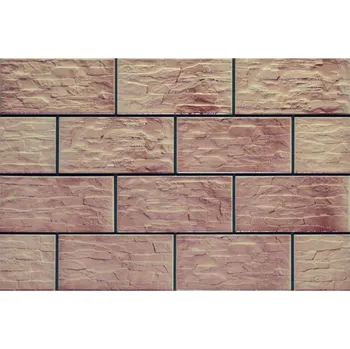 Obklad Fasádní Obklad CER-23 30/14,8