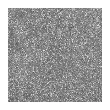 Terasové prkno Terasová dlažba Tamoro /5CM. 60X60CM