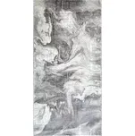 Koberec Emporio 1.6/2.3 4327A BOS OF 36 šedá