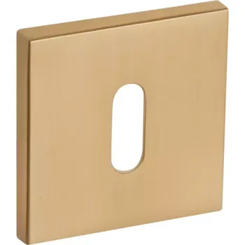 Dveřní kování Štít R67F BB zlatý-satén