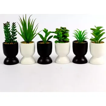 Koupelnový nábytek Sukulent 15-20cm mix 95790