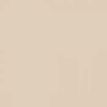 Fasádní barva SilikonColor Baumit 5 l - odstín 0167