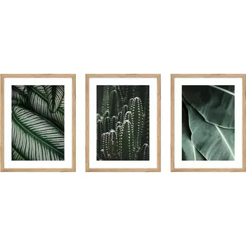 Obraz Obraz set 001 kno3040.046+047+048 listy 100x42