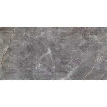 Stavební materiál Visine Grey Gloss 59,8/119,8