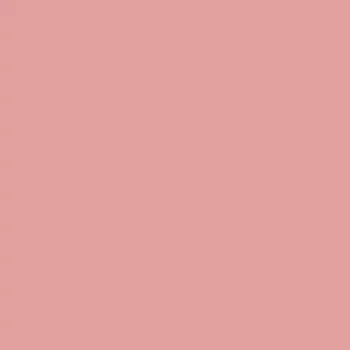 Fasádní barva SilikonColor Baumit 5 l - odstín 0586