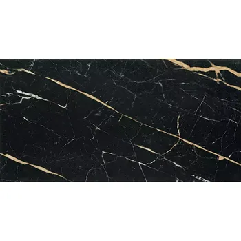 Obklad Nástěnný Obklad Floris Black 30,8/60,8