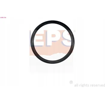 Těsnění motoru Těsnění, termostat EPS 1.890.736