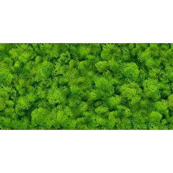 Obklad Dekor Pure Moss Glass 30/60