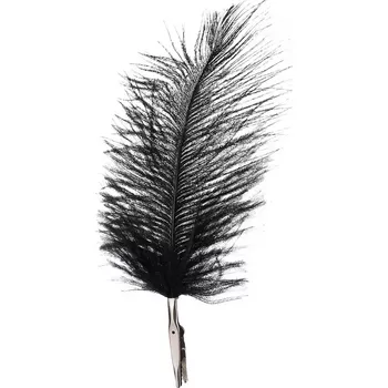 Peříčka - černá 6ks 18x9cm
