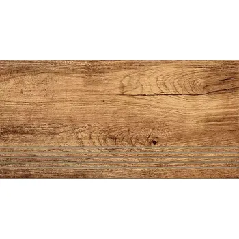 Dlažba Schodová Dlažba Foresta Bronzo 30/60