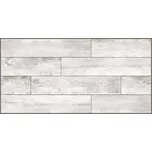 Dekorační panel 100X50CM VINTAGE