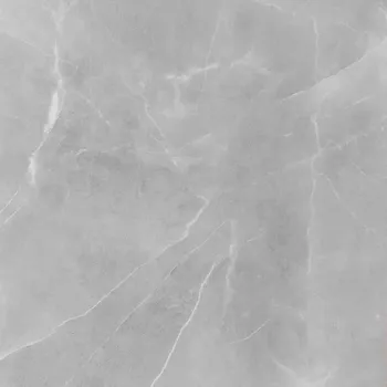 Dlažba Dlažba Ambrosio Gris 59,7/59,7