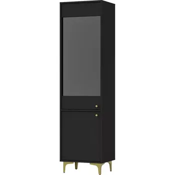 Obývací stěna Vitrína Tokyo 1 2D černý grafit 101