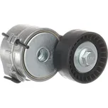 SKF VKM 33161