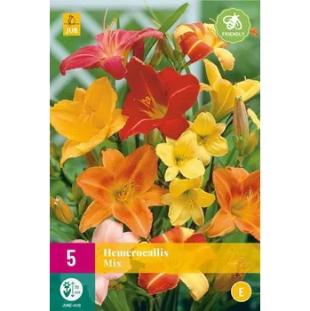 Cibulovina Denivka MIX "E" 1 ks, Jarní cibuloviny