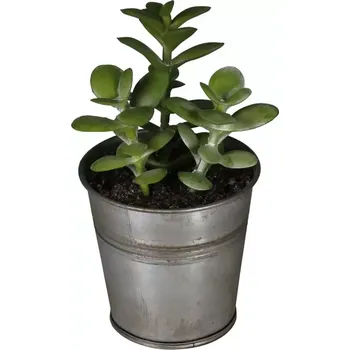 umělá květina Umělá kytka v plechovém květináči sukulent 3-13cm