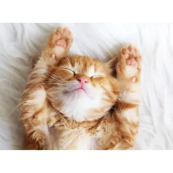 Puzzle Ravensburger puzzle Spící chlupáček 500 dílků