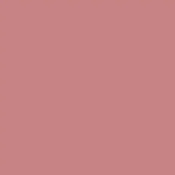 Fasádní barva GranoporColor Baumit 5 l - odstín 0614