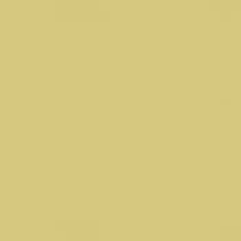 Fasádní barva SilikonColor Baumit 14 l - odstín 0124