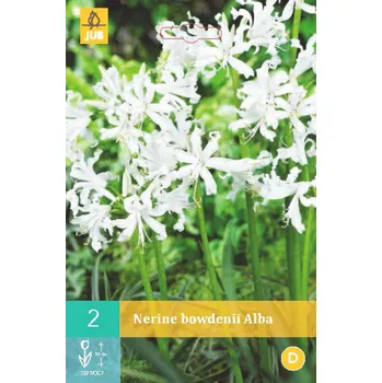 Cibulovina Nerinka Bowdenova ALBA (Nerine) "C" 1 ks, Jarní cibuloviny