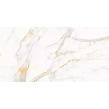 Dlažba Dlažba Calacatta Paonazzo Carving 60/120 Rekt.