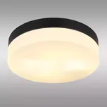 Stropní svítidlo Vranos 32112B PLD1