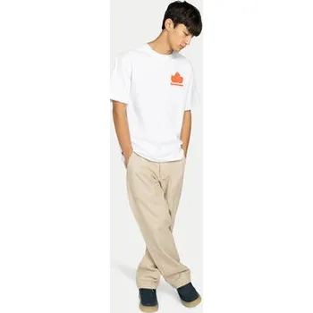 Pánské tričko Element T-Shirt Sporting ELYZT00569 Bílá Relaxed Fit S