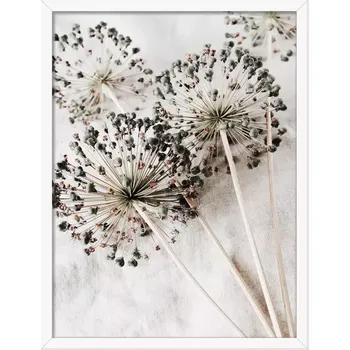 Obraz Modernpik 30x40 FR338 Pure OB-14425