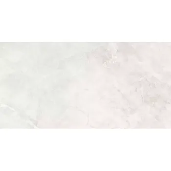 Dlažba Dlažba Mersion Silver 60/120