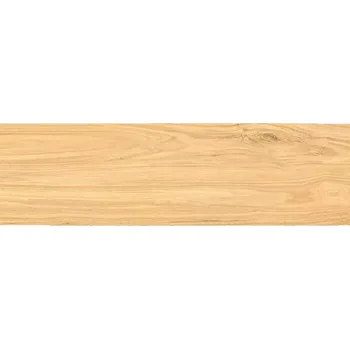 Dlažba Dlažba Rowanwood Beige 60/17.5