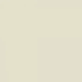 Omítka Silikatová omítka Baumit Silikattop 2,0 mm 25kg – odstín 0169