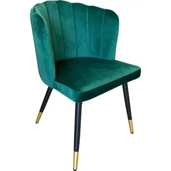 Jídelní židle Židle DC-2190 Master