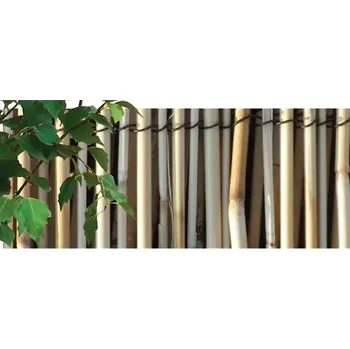 Plot Rohož rákos 1,5x5 m