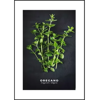 Obraz Obraz Artbox 50x70 AB182 Oregano OB-14442