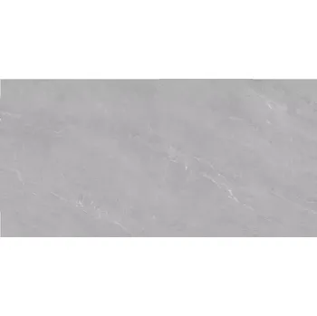 Dlažba Dlažba Fredrick Grey 60/120 Rekt.