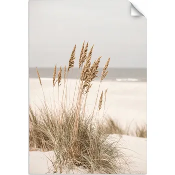 Obraz Samolepky, Pláž moře rostliny příroda béžová 20x30