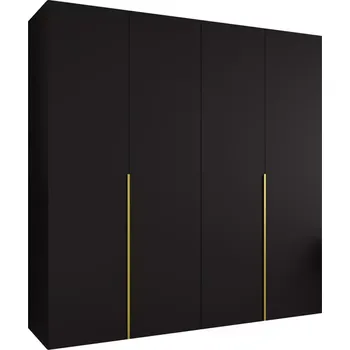 Předsíňová stěna Skříň Alicante I 200 černá/zlatá