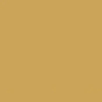 Fasádní barva SilikonColor Baumit 5 l - odstín 0132