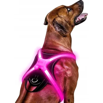 Postroj pro psa Svítící postroj pro psa, LED postroj pro psy se 7 barvami, vel. M, černý