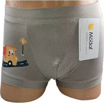 Pánské spodní prádlo Chlapecké modalové boxerky Cars - 86-92 / šedá