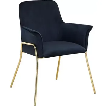 Jídelní židle Židle Nero 80363 černá/zlatá