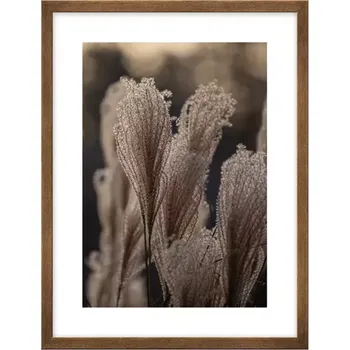 Obraz Obraz 30x40 kno3040.075 l13.15.052 měď