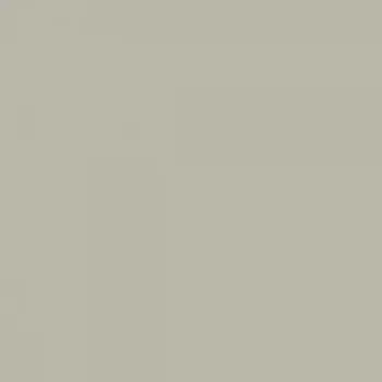 Fasádní barva SilikonColor Baumit 5 l - odstín 0014