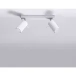 Stropní svítidlo Oregon 2 bílá