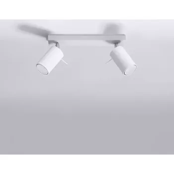 Stropní svítidlo Oregon 2 bílá