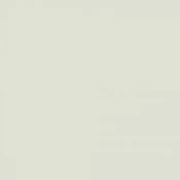 Fasádní barva SilikonColor Baumit 14 l - odstín 1029