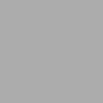 Omítka Silikonová omítka Baumit Silikontop 1,5 mm 25 kg – odstín 0446