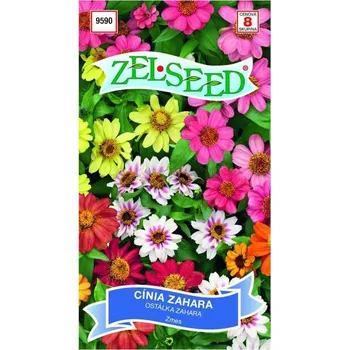 Semeno Ostálka Zahara směs 12 semen