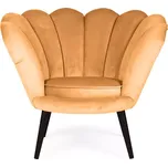 Kreslo Tristan Bluvel 68/venge